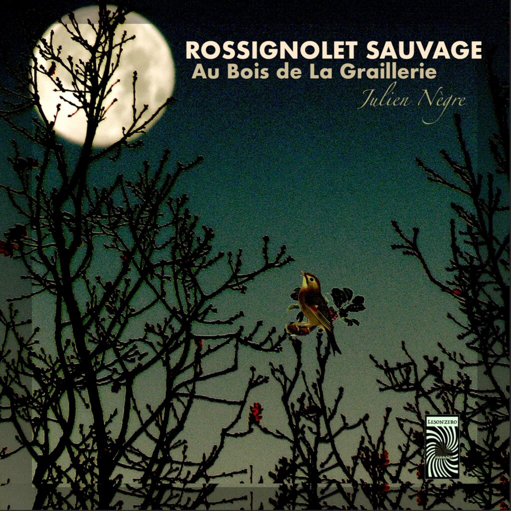 ROSSIGNOLET SAUVAGE au BOIS DE LA GRAILLERIE