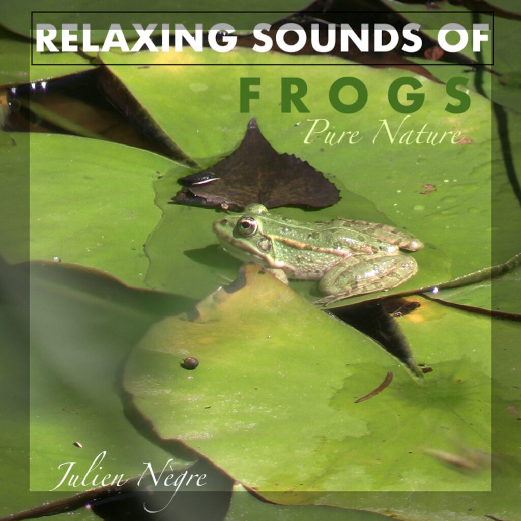 Pure Nature - RELAXING SOUNDS OF FROGS