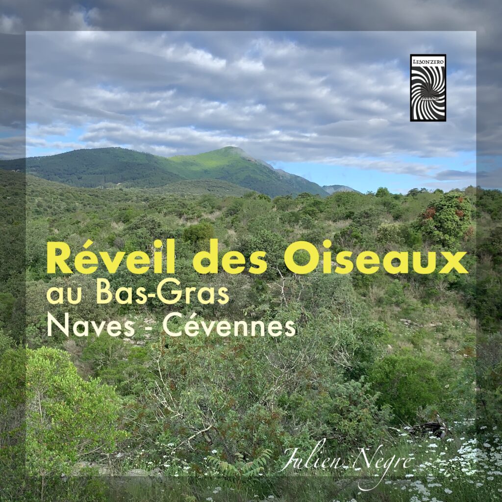 Paysage Sonore - RÉVEIL DES OISEAUX AU BAS-GRAS - Naves / Cévennes